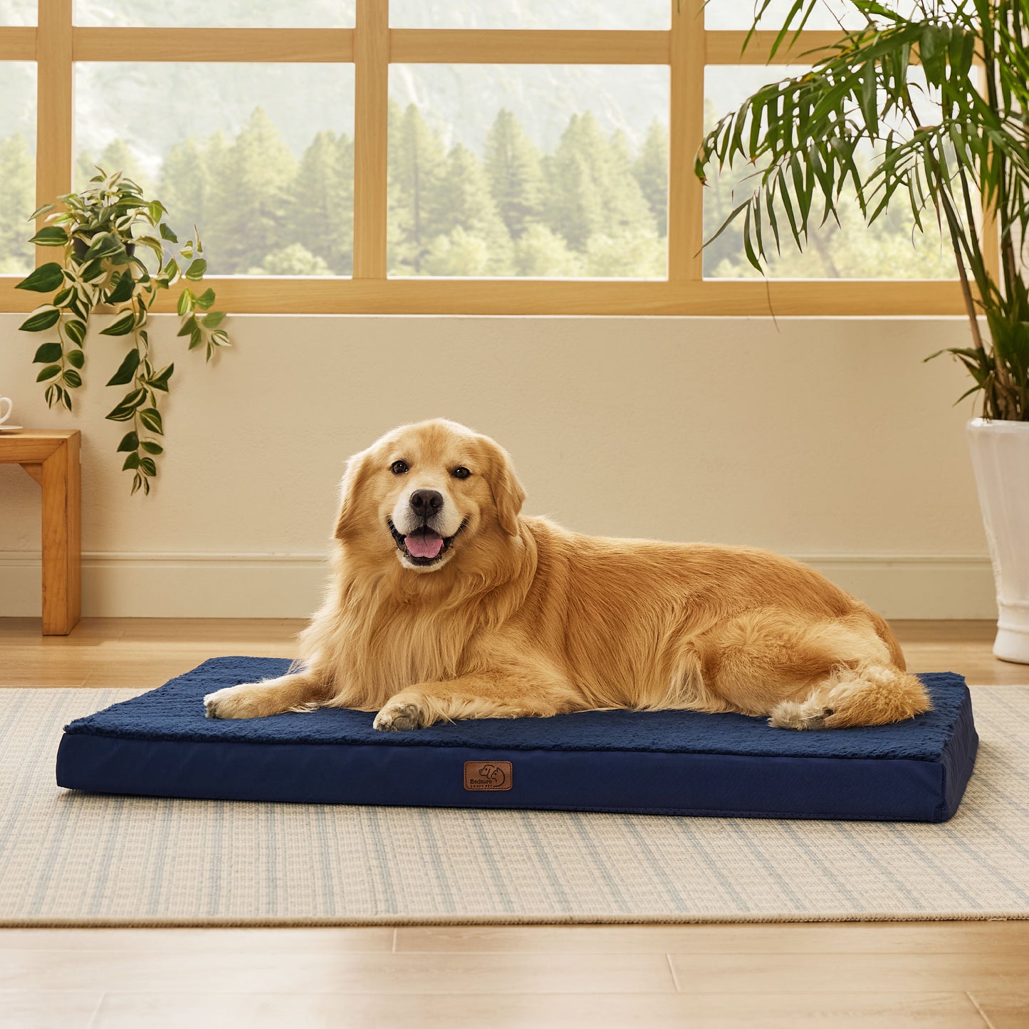 Orthopädisches Hundebett kleine Hunde