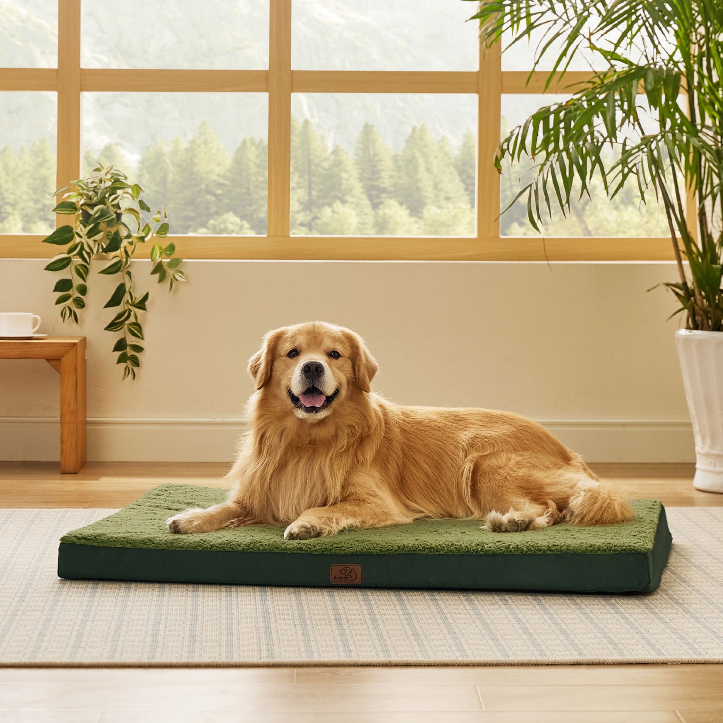 Orthopädisches Hundebett kleine Hunde