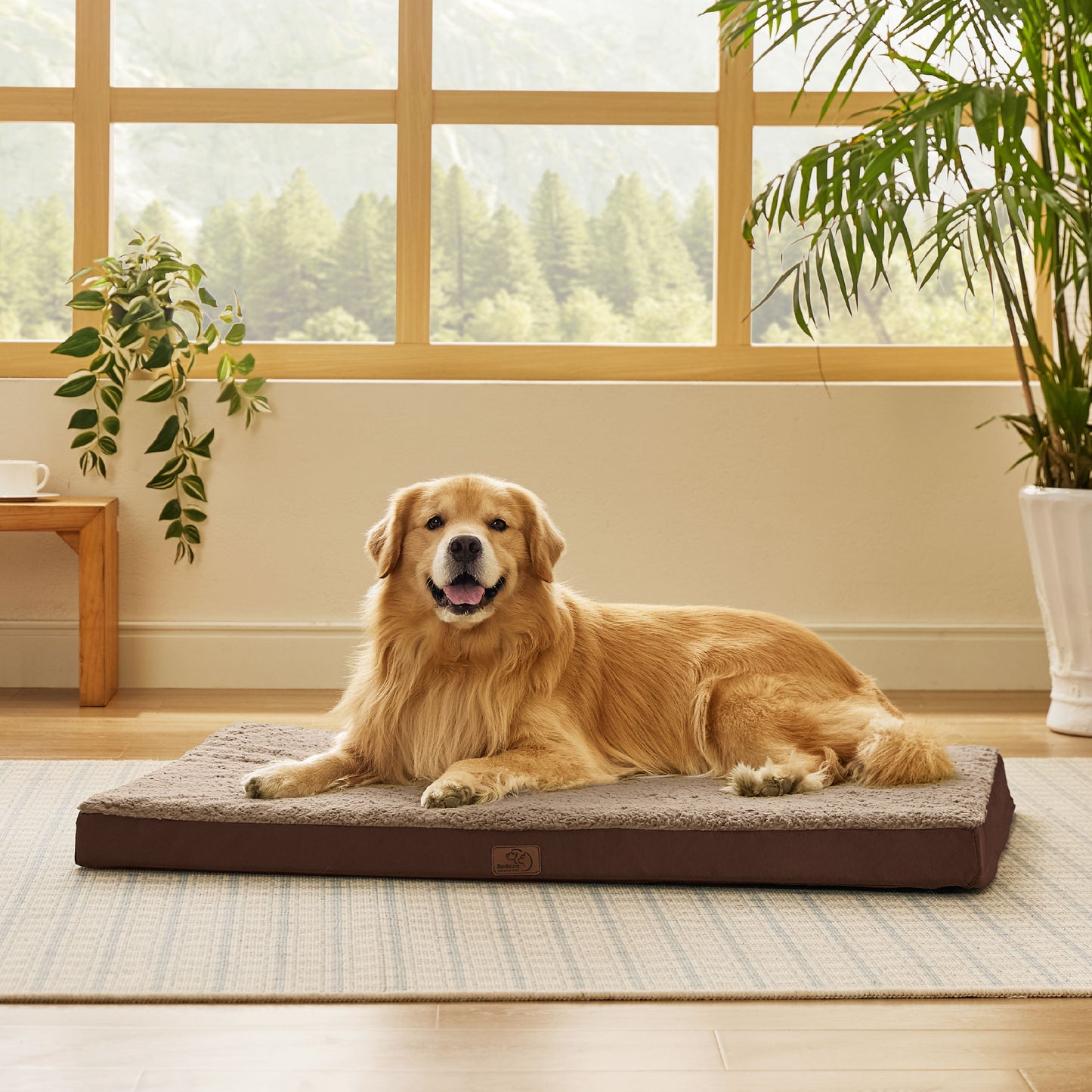 Orthopädisches Hundebett kleine Hunde