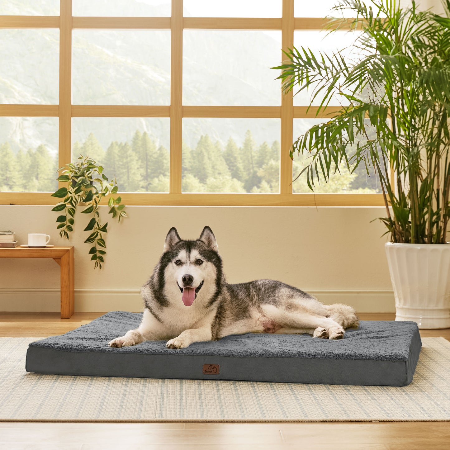 Orthopädisches Hundebett kleine Hunde