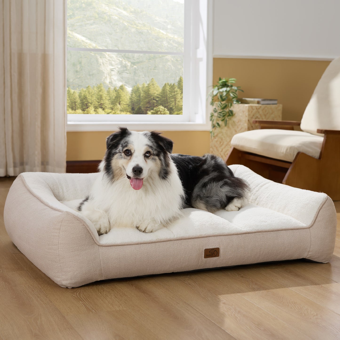 Stützende Hundecouch