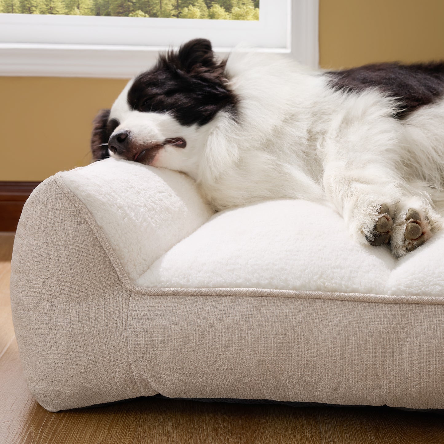 Stützende Hundecouch