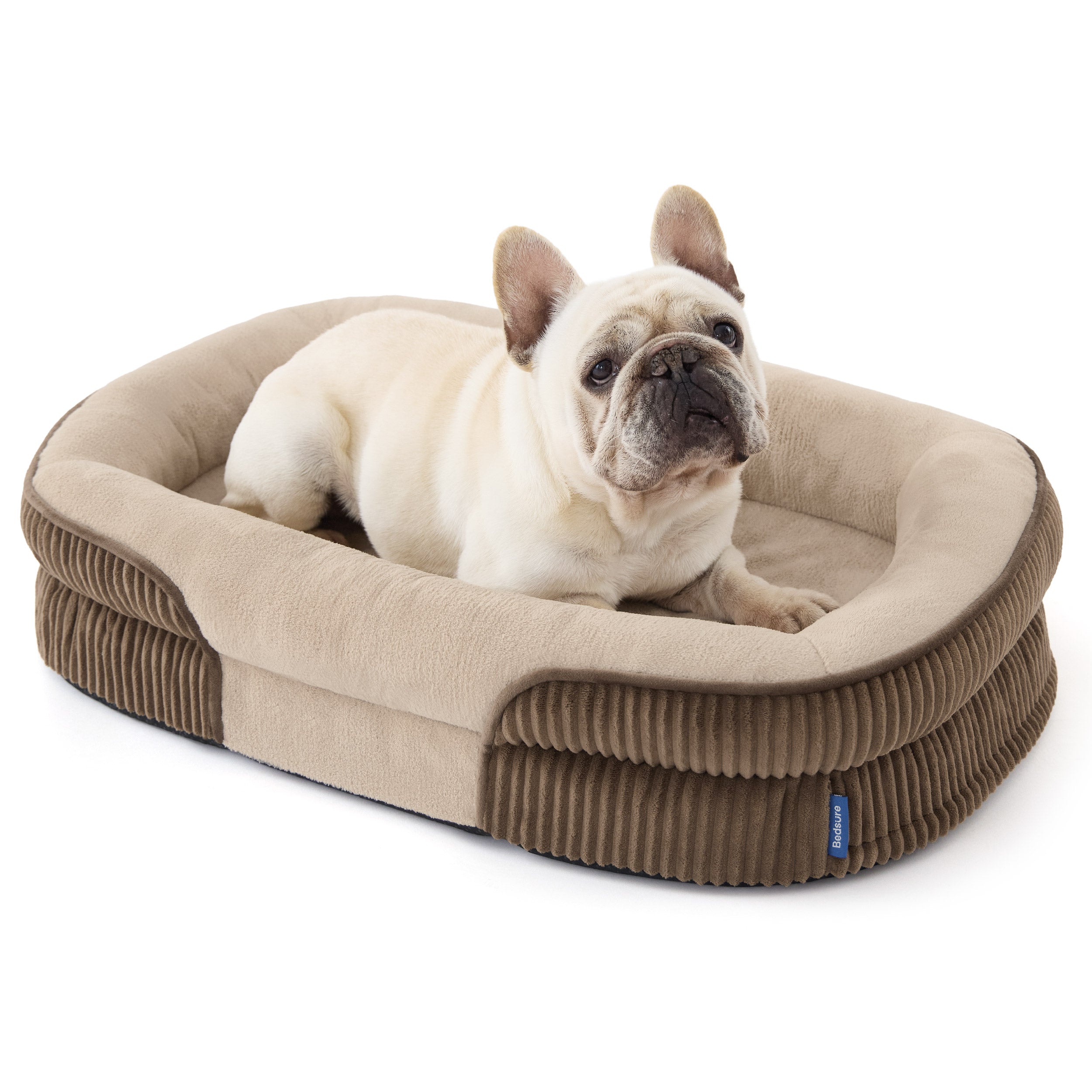 Ovales Hundekissenmit Nackenrolle