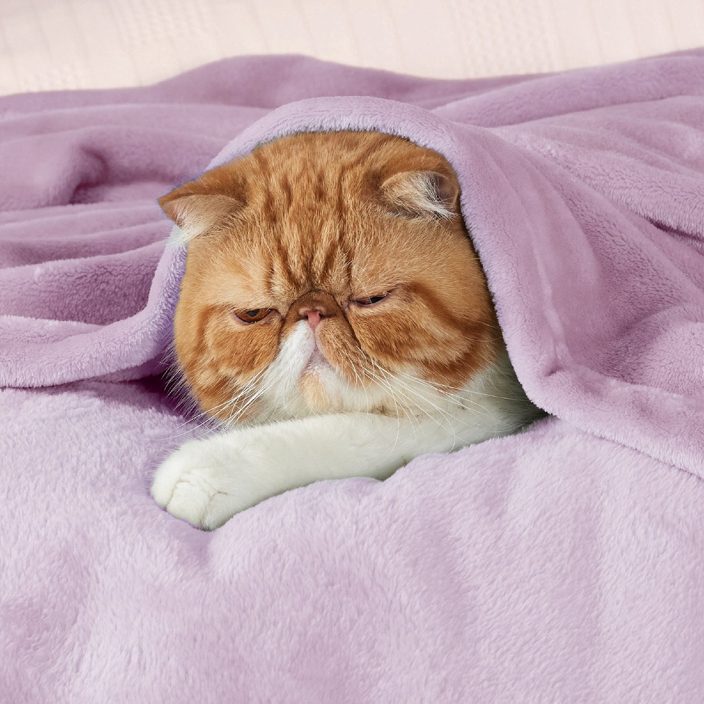 Fleece Kuscheldecke