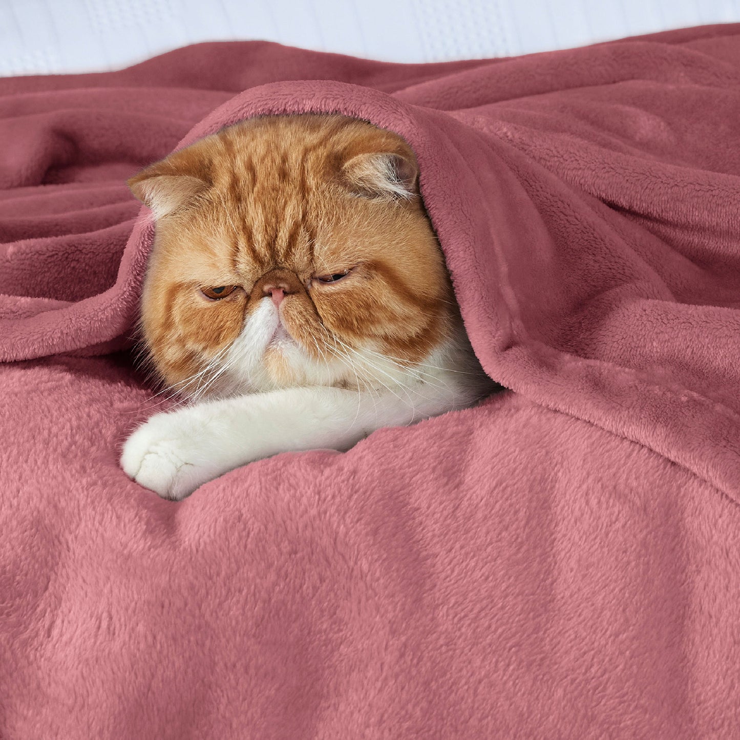 Fleece Kuscheldecke