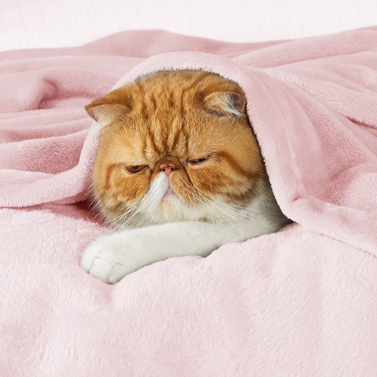 Fleece Kuscheldecke