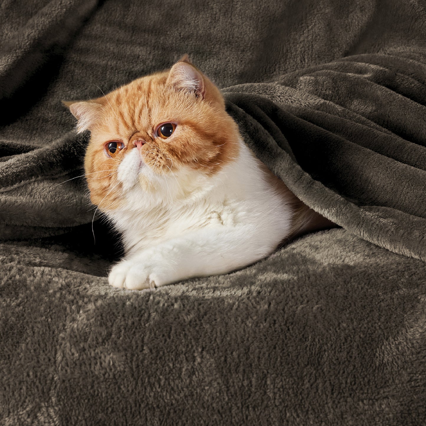 Fleece Kuscheldecke