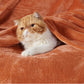 Fleece Kuscheldecke