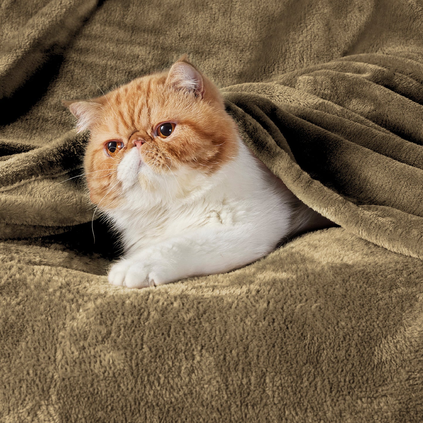 Fleece Kuscheldecke