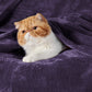 Fleece Kuscheldecke