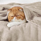 Fleece Kuscheldecke