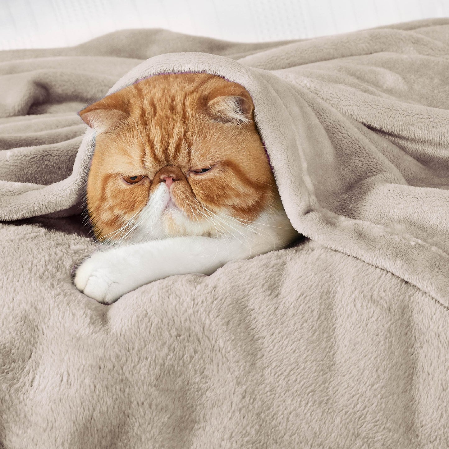 Fleece Kuscheldecke