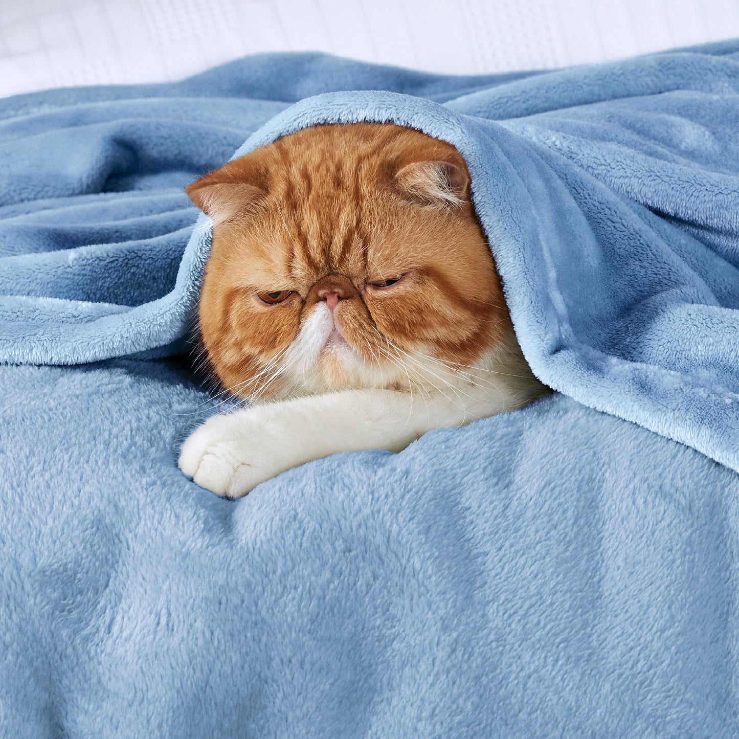 Fleece Kuscheldecke
