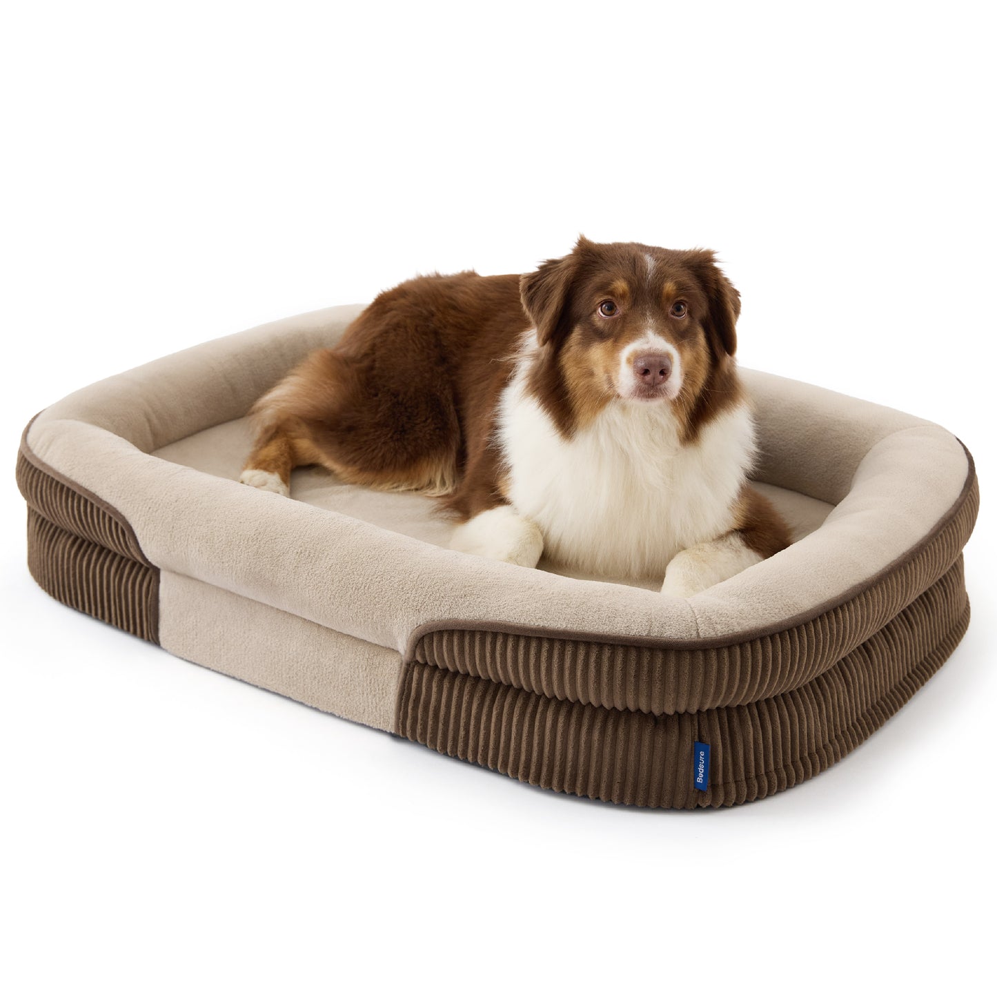 Ovales Hundekissenmit Nackenrolle