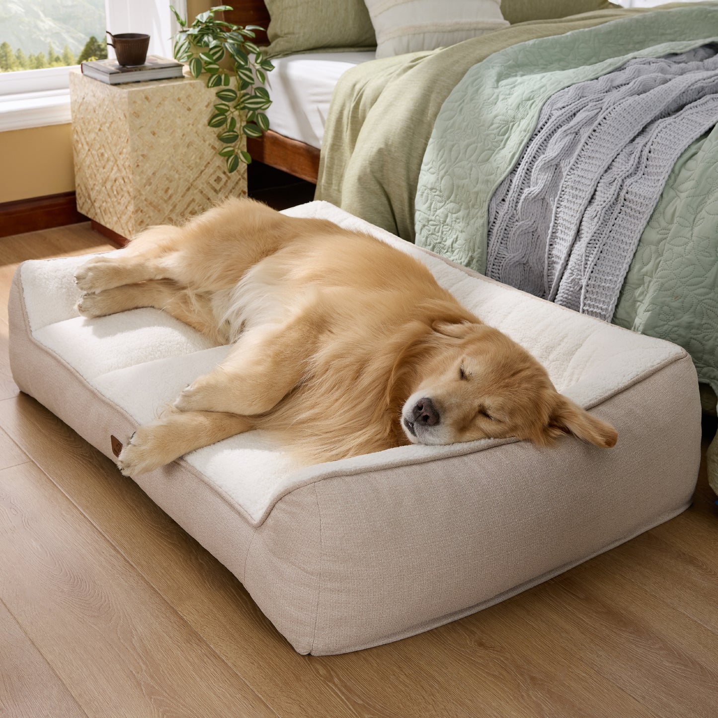 Stützende Hundecouch
