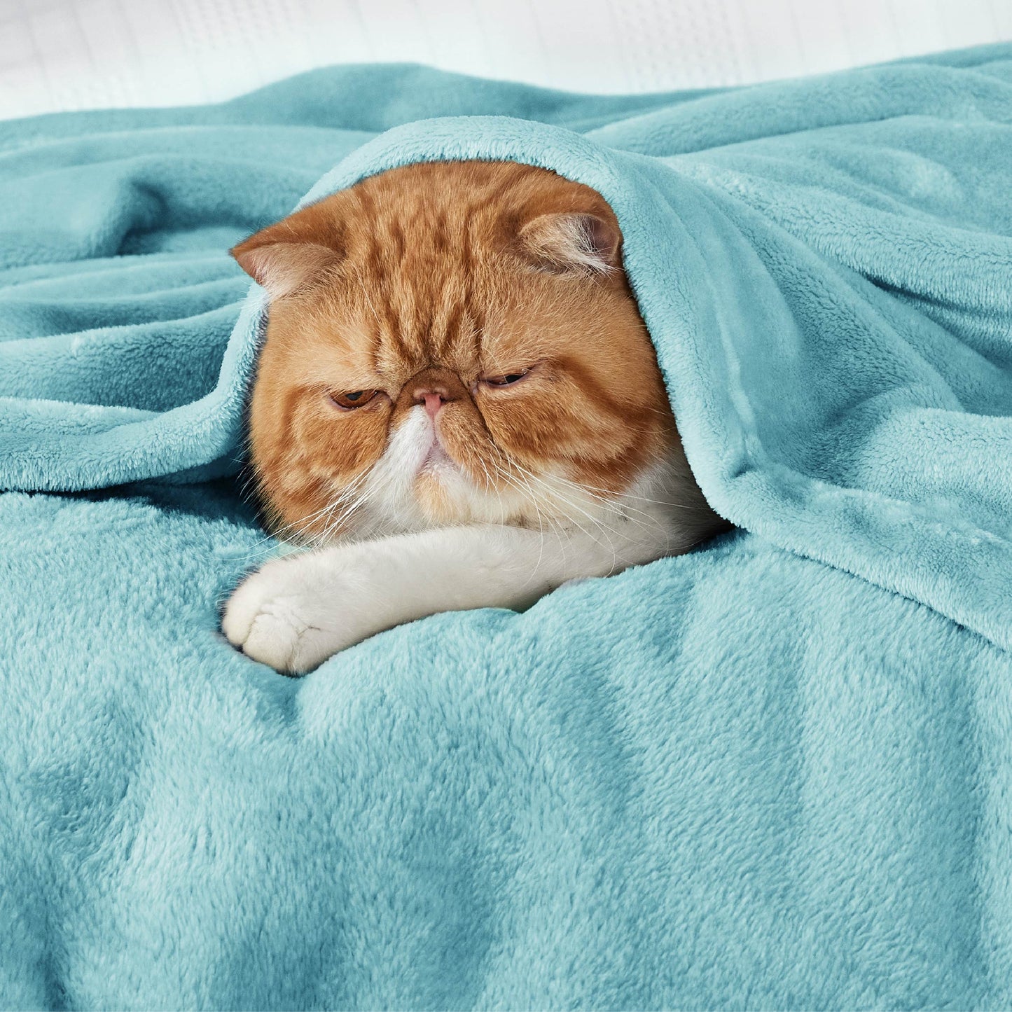 Fleece Kuscheldecke