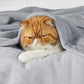 Fleece Kuscheldecke