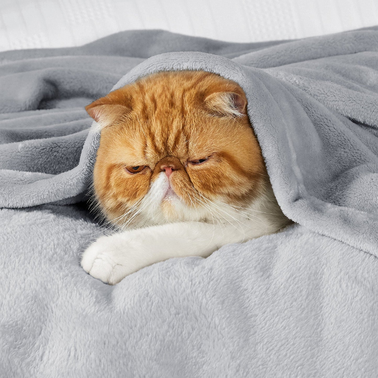 Fleece Kuscheldecke