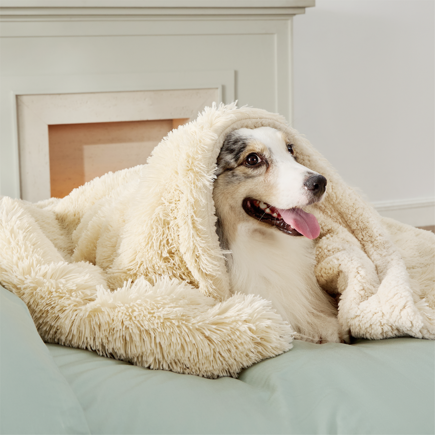 Wasserdichte Hundedecke