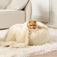 Wasserdichte Hundedecke