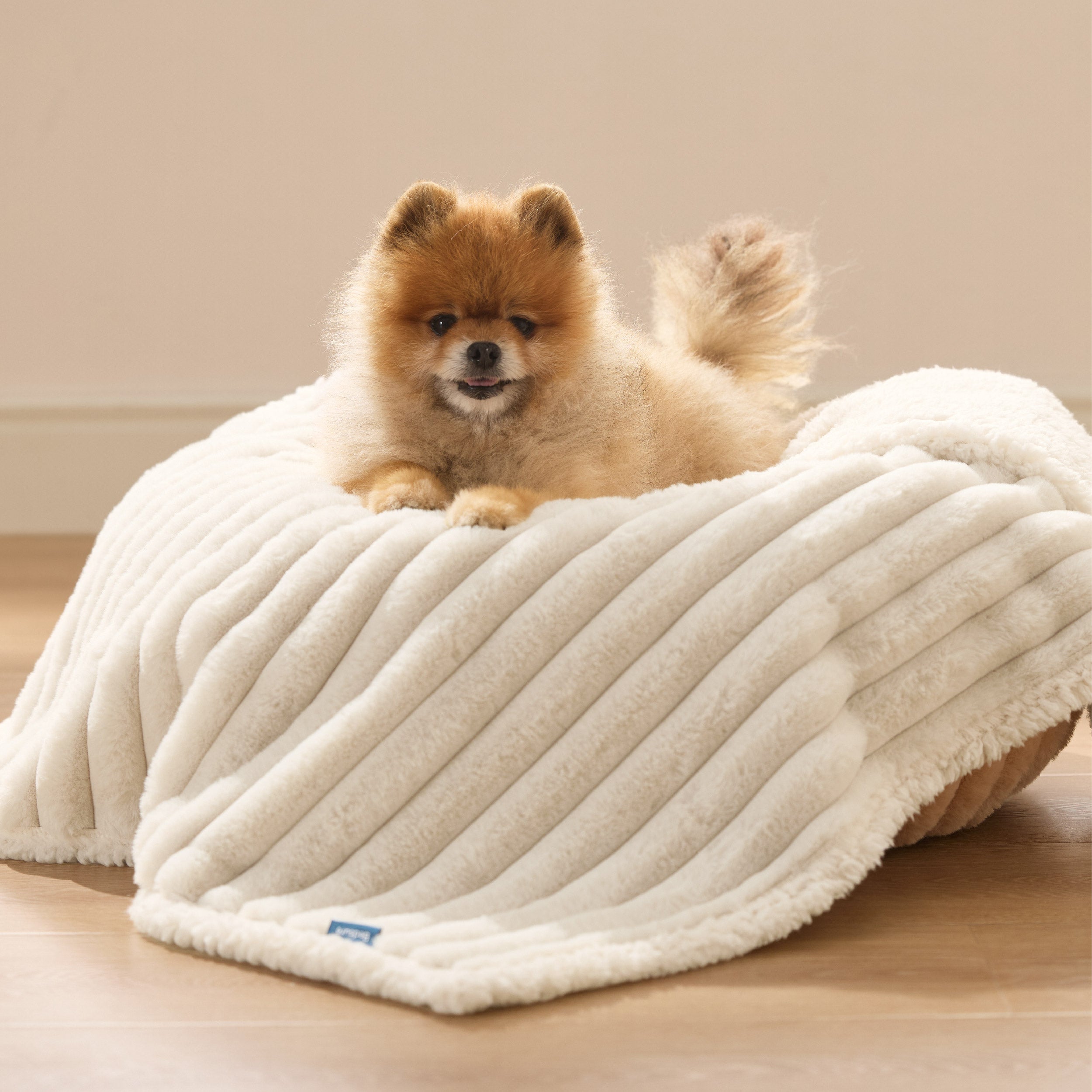 Haustierdecke aus Cord-Fleece