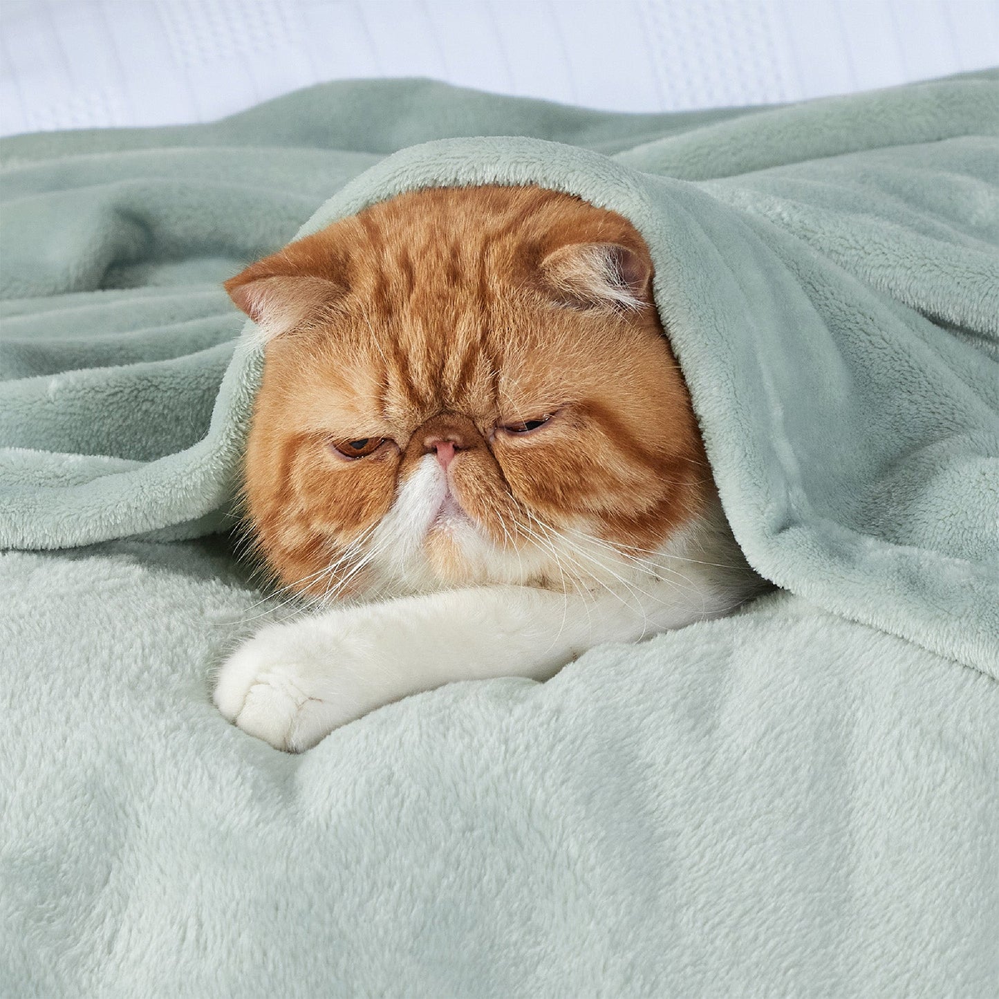 Fleece Kuscheldecke