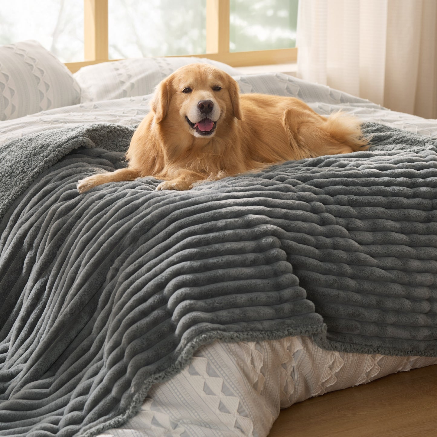 Haustierdecke aus Cord-Fleece