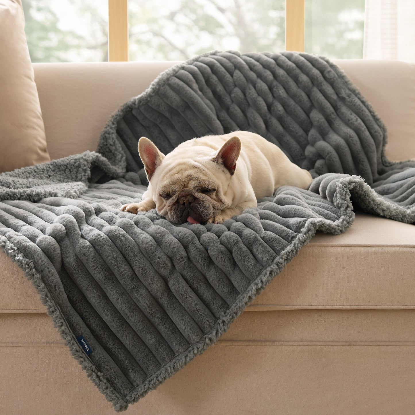 Haustierdecke aus Cord-Fleece