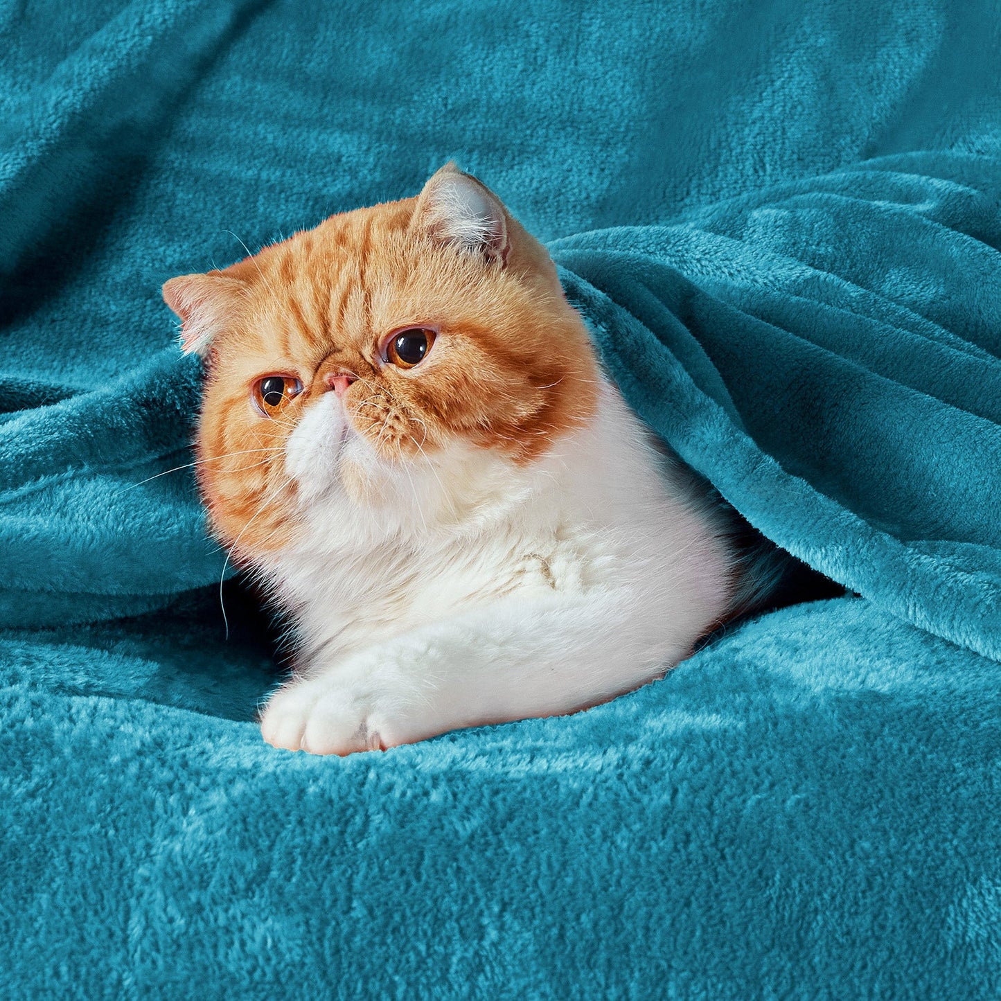 Fleece Kuscheldecke