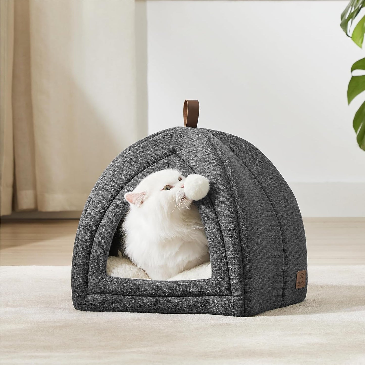 Katzenzelt