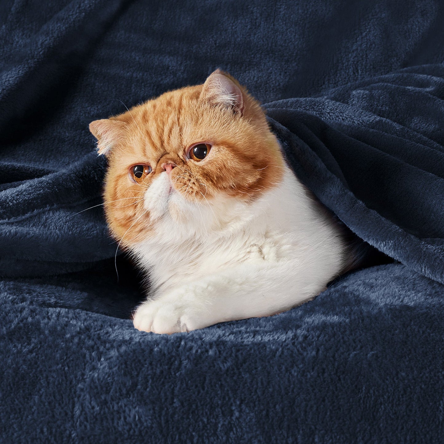 Fleece Kuscheldecke