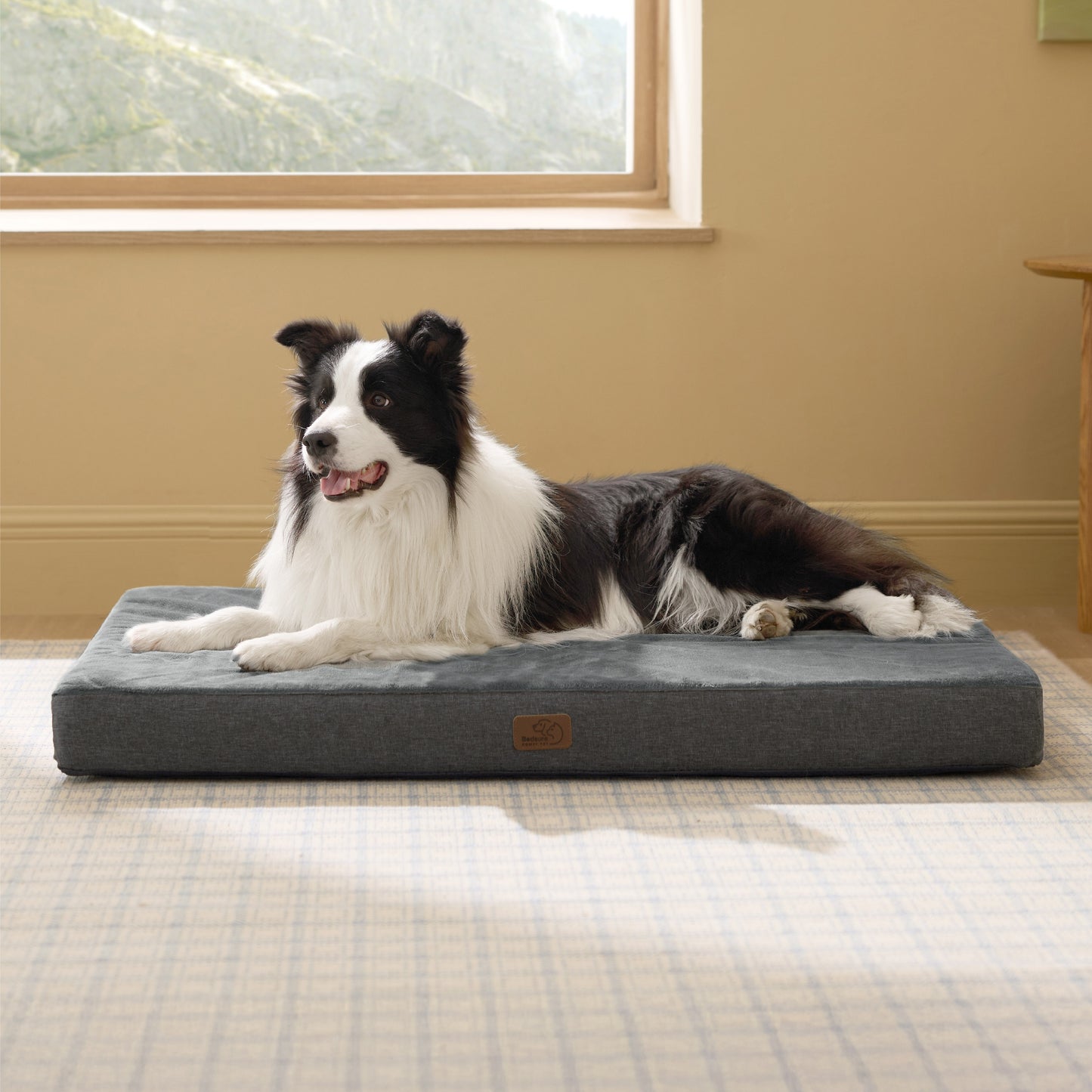 Orthopädisches Hundebett Mit Memory-Schaum