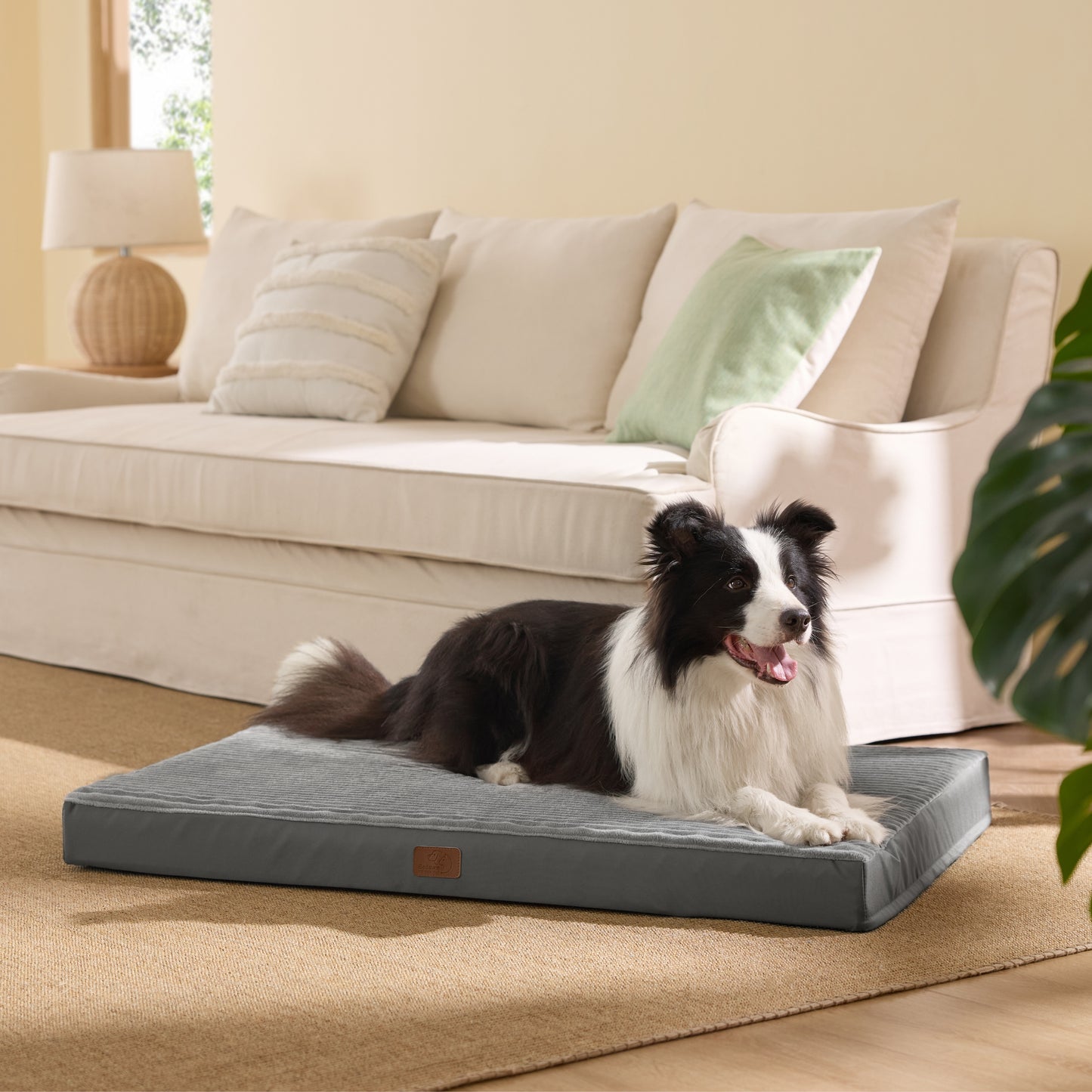 Waschbares Hundebett