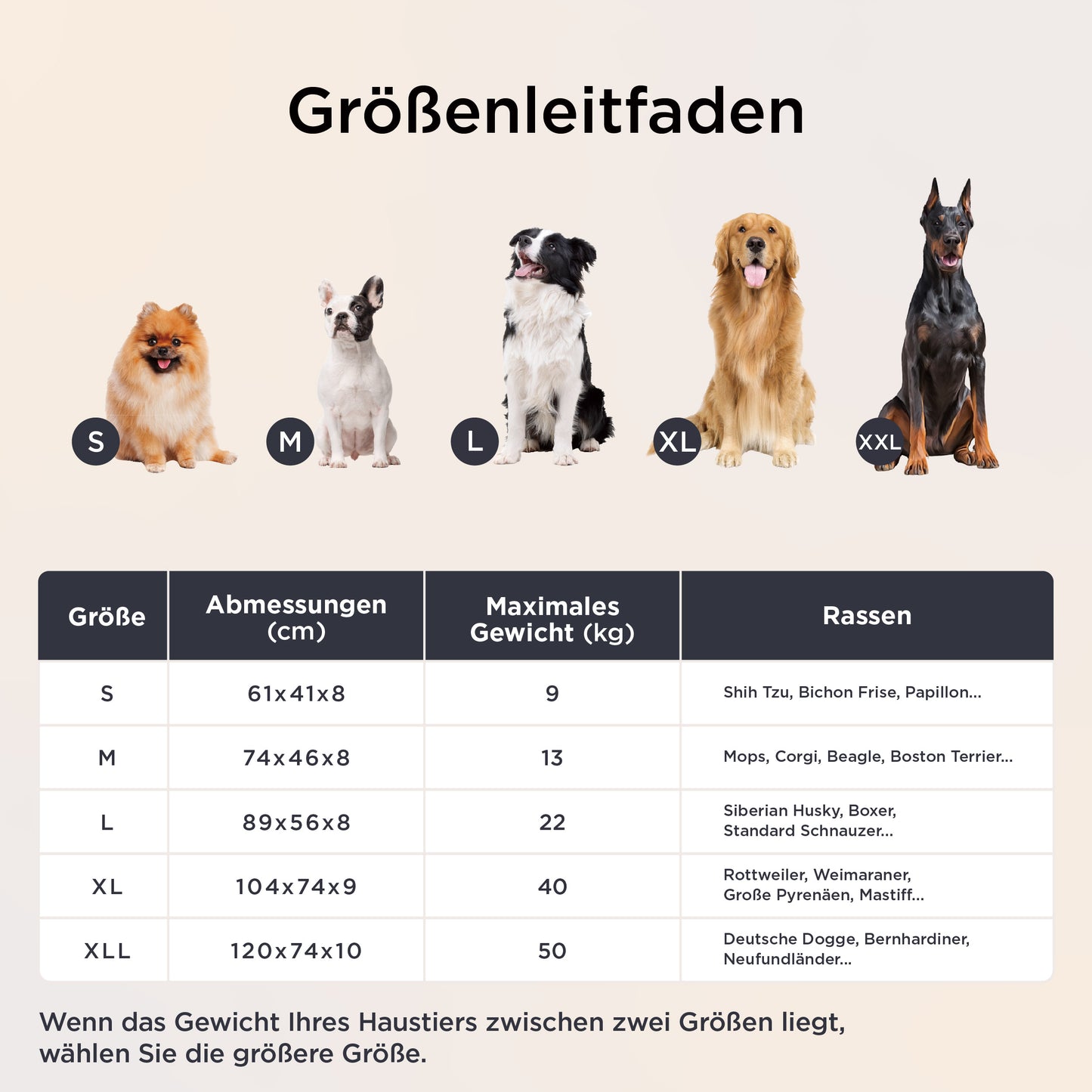 Orthopädisches Hundebett Mit Memory-Schaum