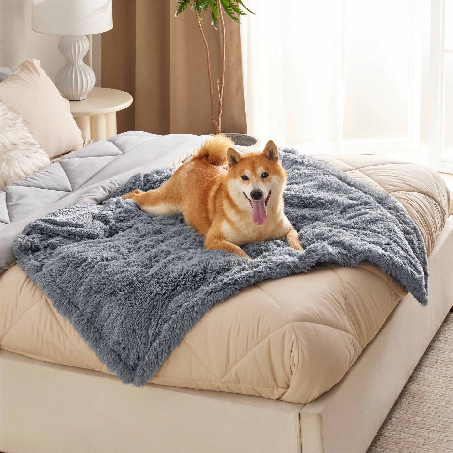 Wasserdichte Hundedecke