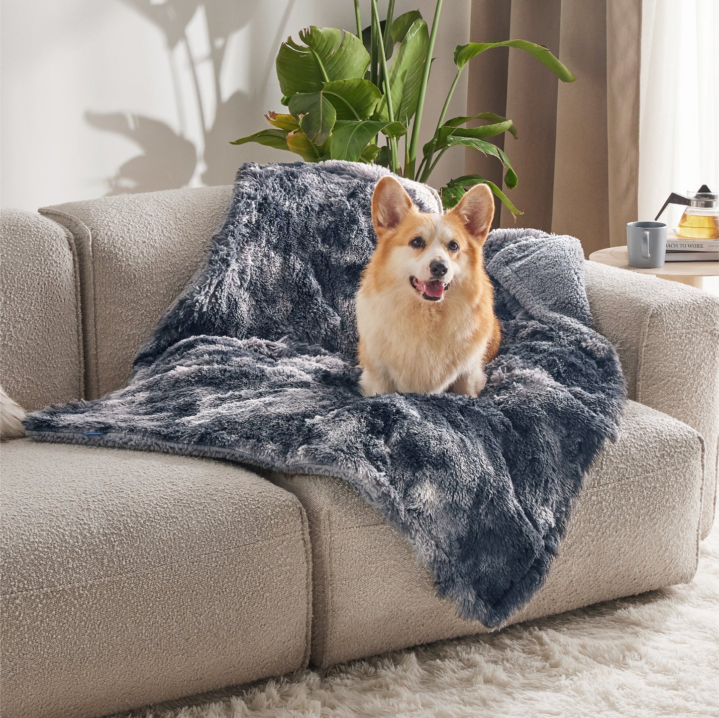 Wasserdichte Hundedecke