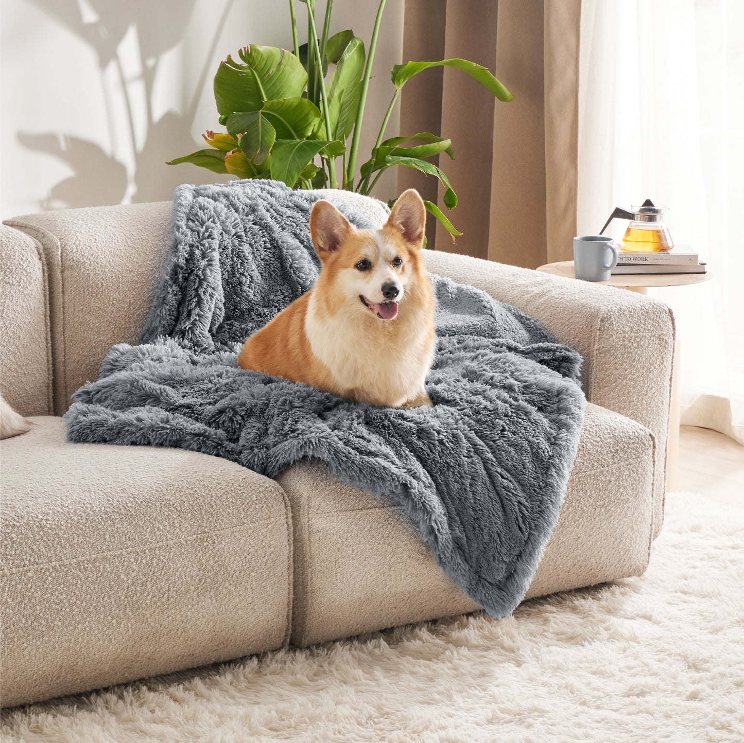 Wasserdichte Hundedecke