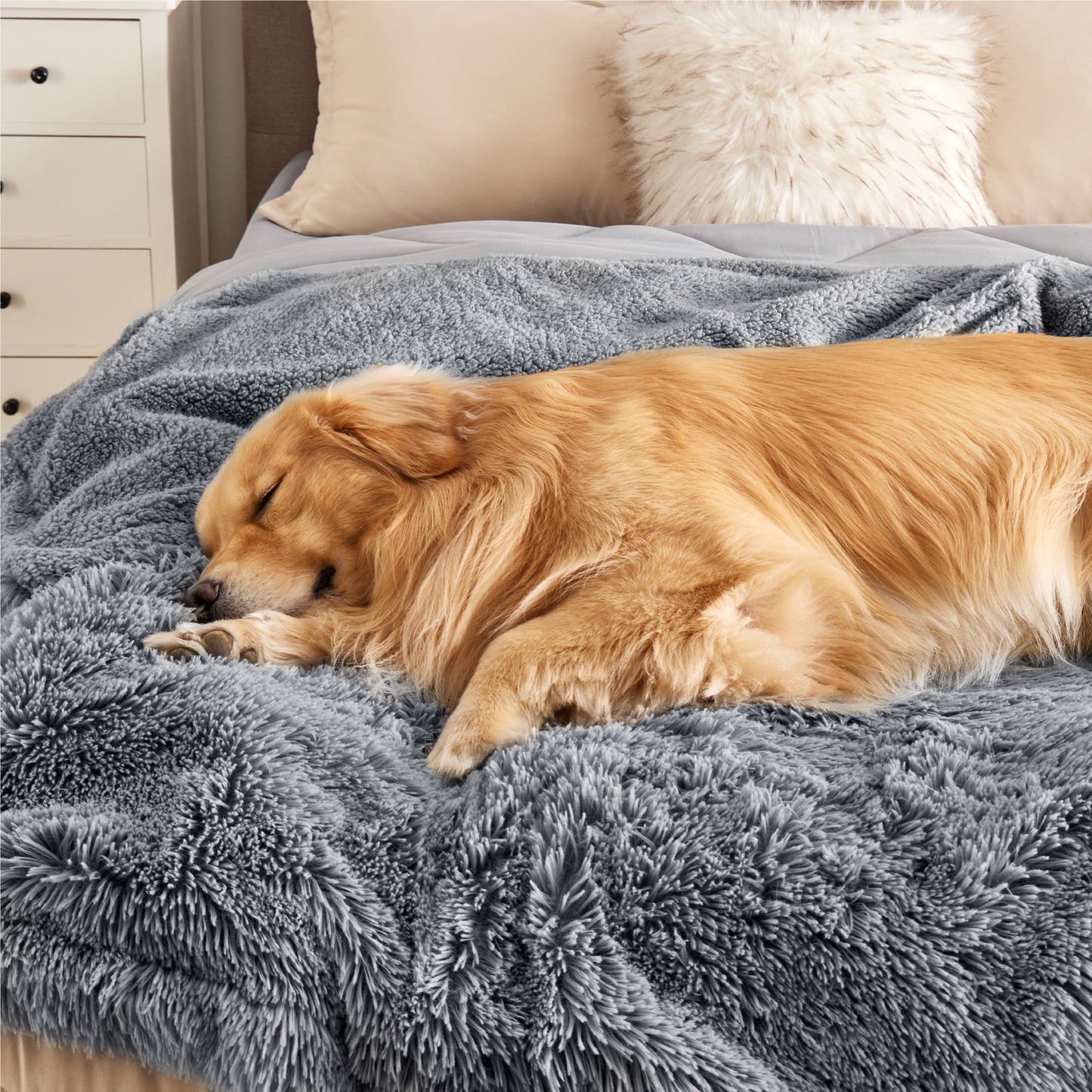 Wasserdichte Hundedecke