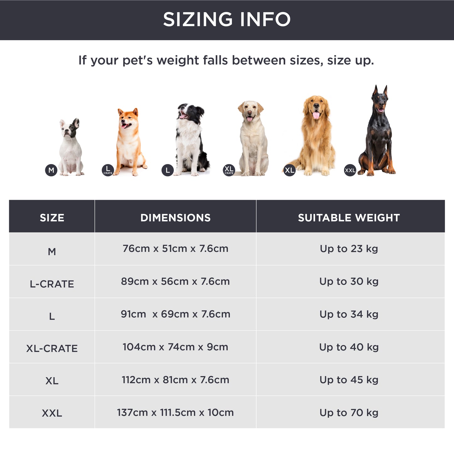 Orthopädisches Hundebett kleine Hunde