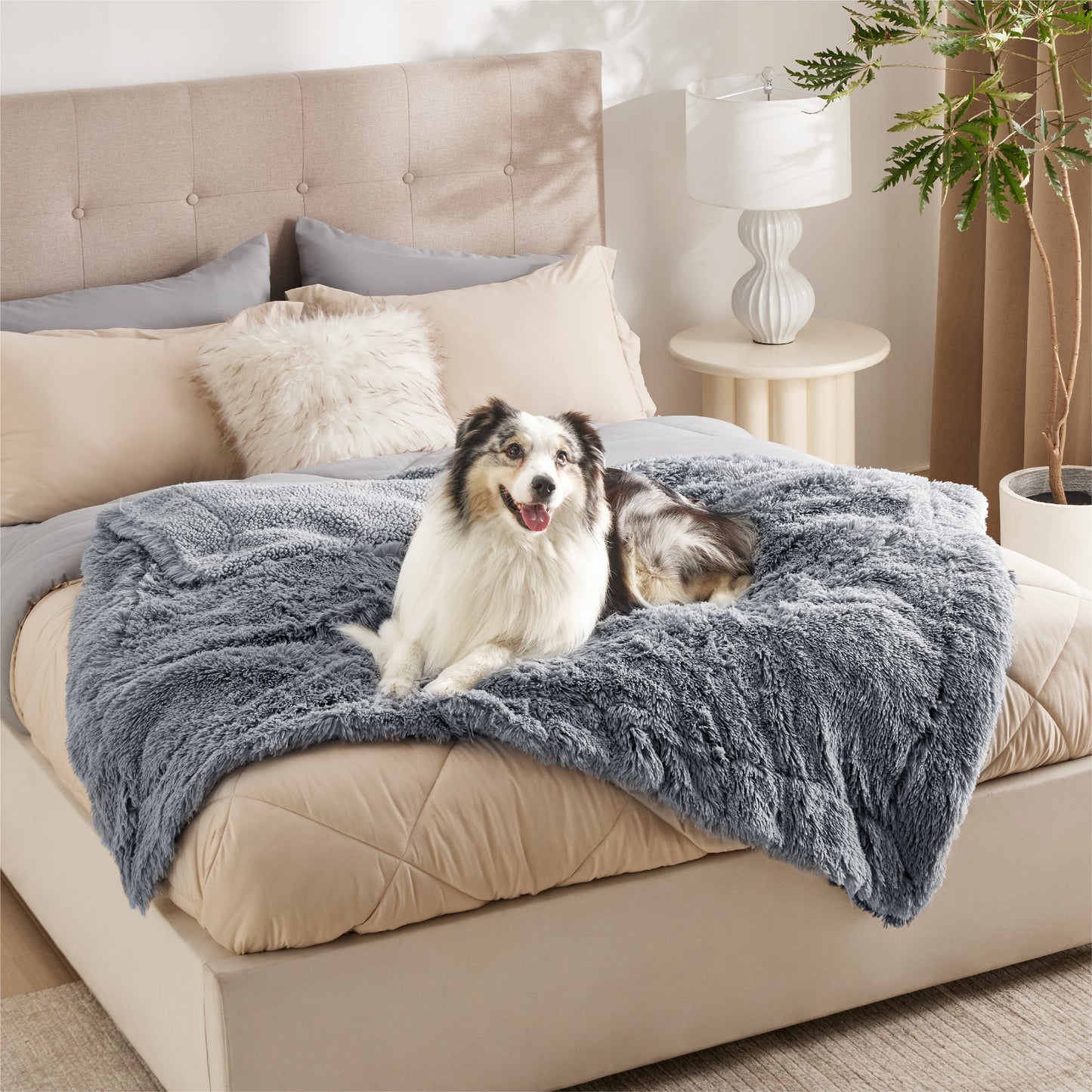 Wasserdichte Hundedecke